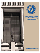 Image of front page of Annual Report for year 2013