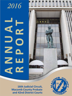 Image of front page of Annual Report for year 2016