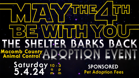 May the 4th Adoption Event - The Shelter Barks Back