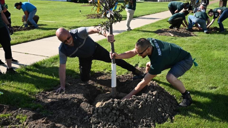 Tree Planting event in Clinton Twp