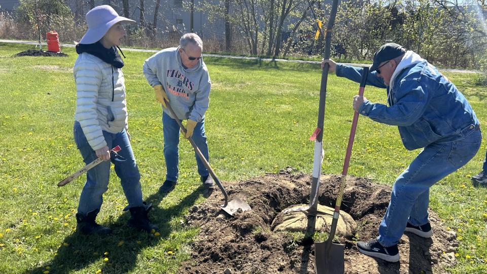 individuals gather in a park to plant a tree for arbor day