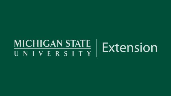 Michigan State University logo on field of green