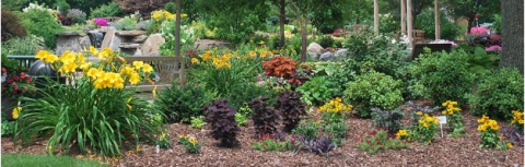 Picture of a flower bed