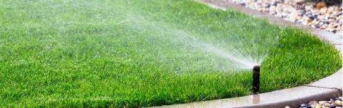 Picture of an active lawn sprinkler