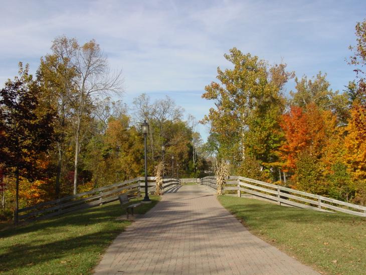 trail leading towards fall foliage