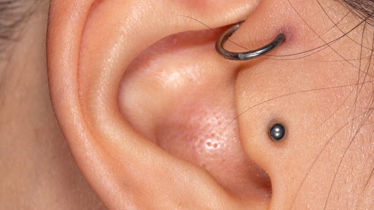 Image of two different types of ear piercings that are regulated under the body art regulations.