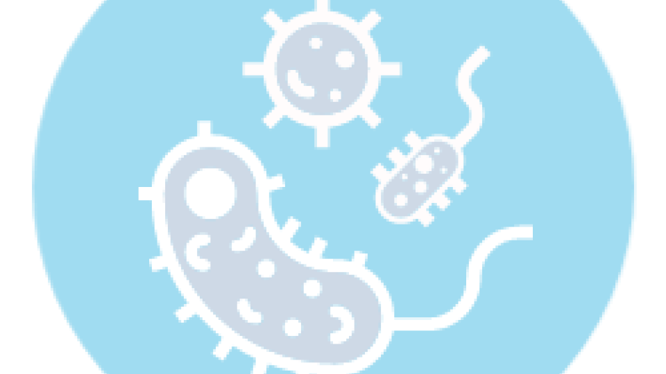 white silhouette of bacteria