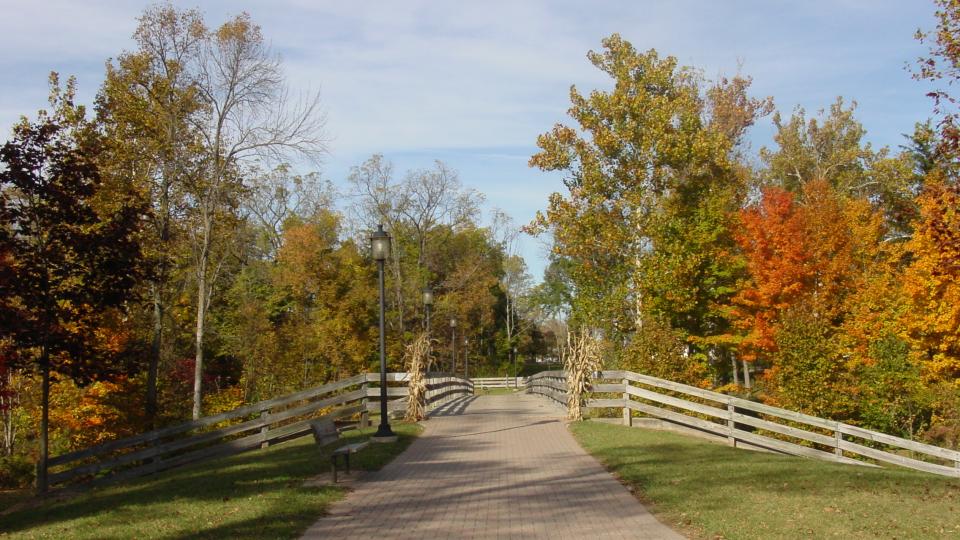 trail leading towards fall foliage
