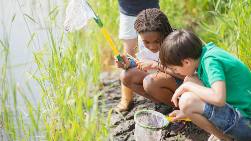 children search for wildlife at a pond