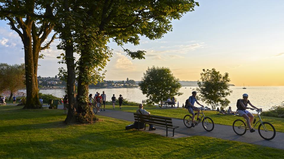 people riding bikes in park on waterfront at sunset