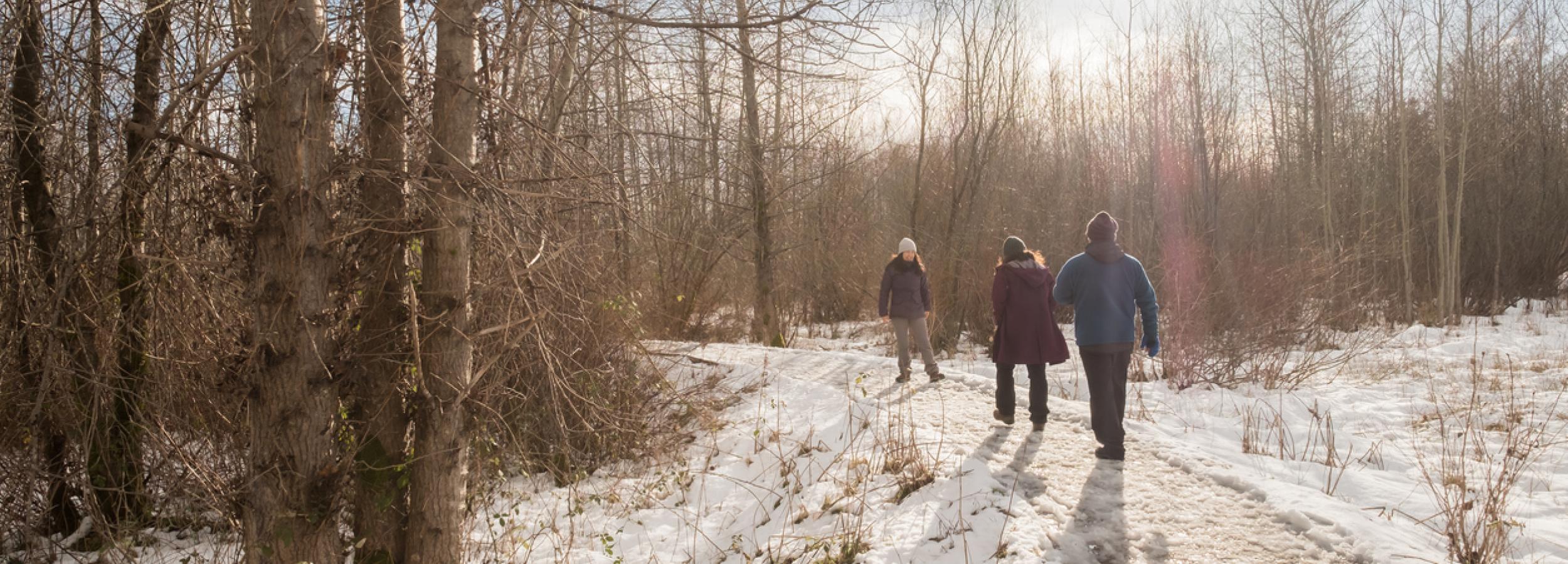 people walk along a trail during winter