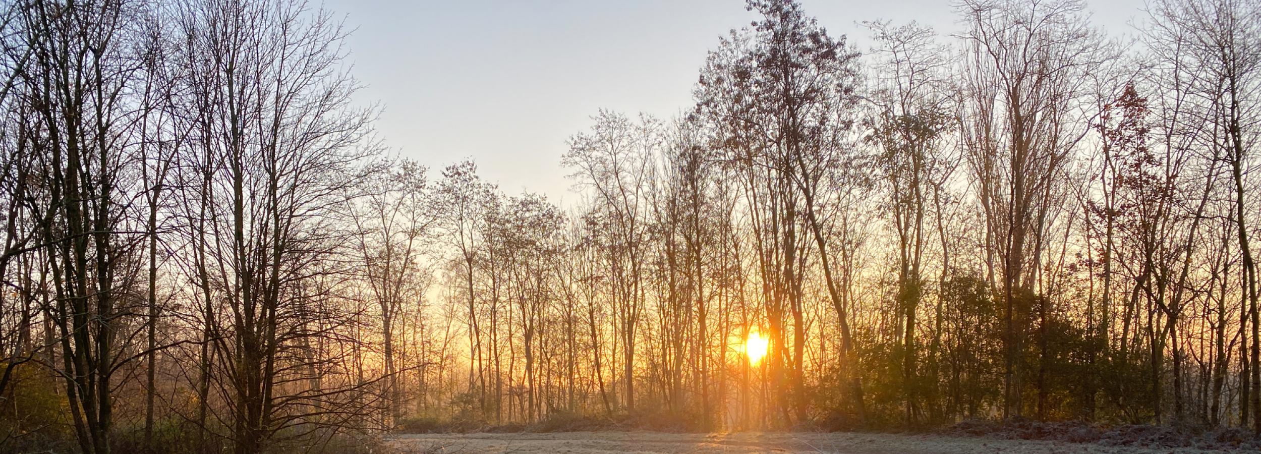 sunrise in a country field in late winter