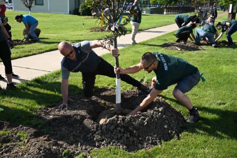 Tree Planting event in Clinton Twp