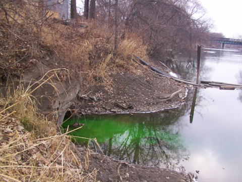 Green dye showing a business's sewage traveling a mile thru the storm water system to the Clinton River