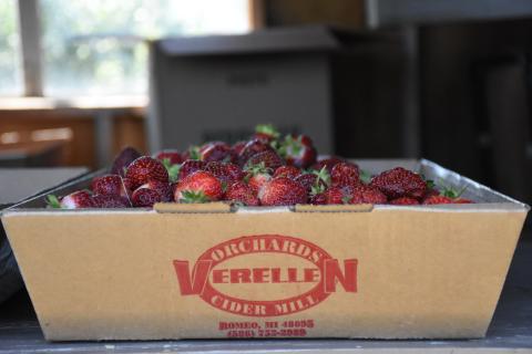 Verellen's strawberries